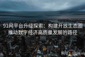 91网平台升级探索：构建开放生态圈推动数字经济高质量发展的路径