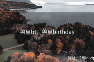 兽皇bt，兽皇birthday