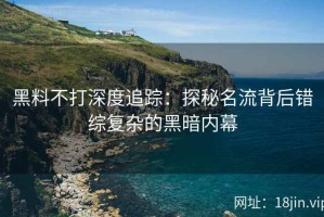 黑料不打深度追踪：探秘名流背后错综复杂的黑暗内幕