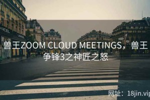 兽王ZOOM CLOUD MEETINGS，兽王争锋3之神匠之怒