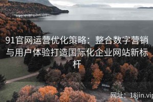 91官网运营优化策略：整合数字营销与用户体验打造国际化企业网站新标杆