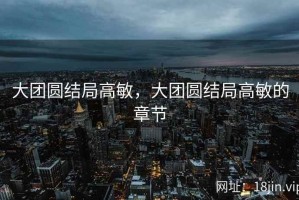大团圆结局高敏，大团圆结局高敏的章节