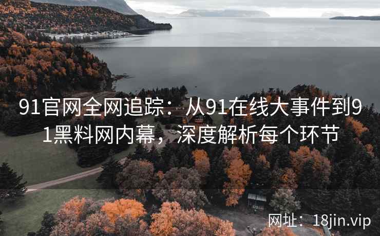 91官网全网追踪：从91在线大事件到91黑料网内幕，深度解析每个环节