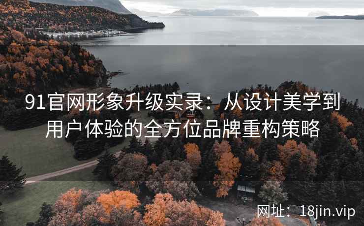 91官网形象升级实录：从设计美学到用户体验的全方位品牌重构策略