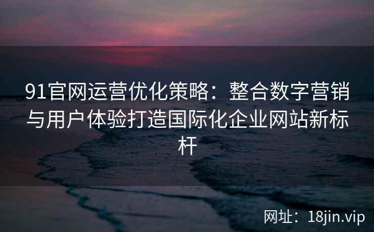 91官网运营优化策略：整合数字营销与用户体验打造国际化企业网站新标杆