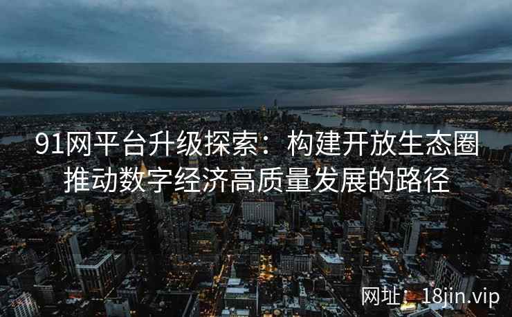 91网平台升级探索：构建开放生态圈推动数字经济高质量发展的路径