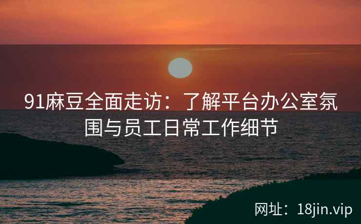 91麻豆全面走访：了解平台办公室氛围与员工日常工作细节