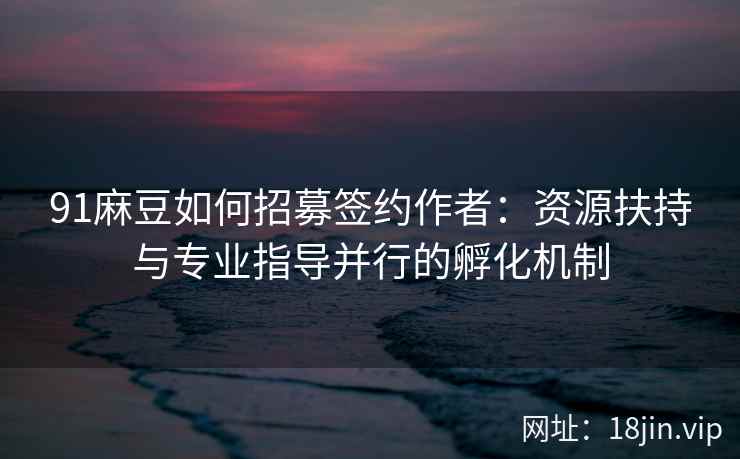 91麻豆如何招募签约作者：资源扶持与专业指导并行的孵化机制